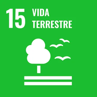 Home 9 vida terrestre